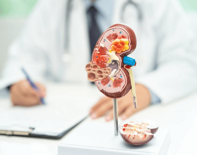 Nephrology Billing